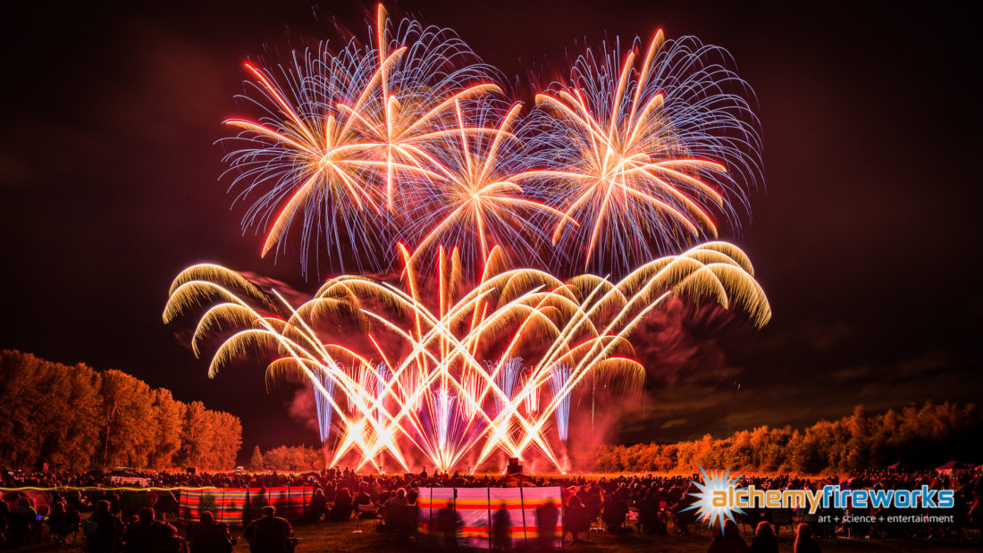 big fanned array of Roman candle and red and blue shells fireworks at catton hall for the festival of fireworks
