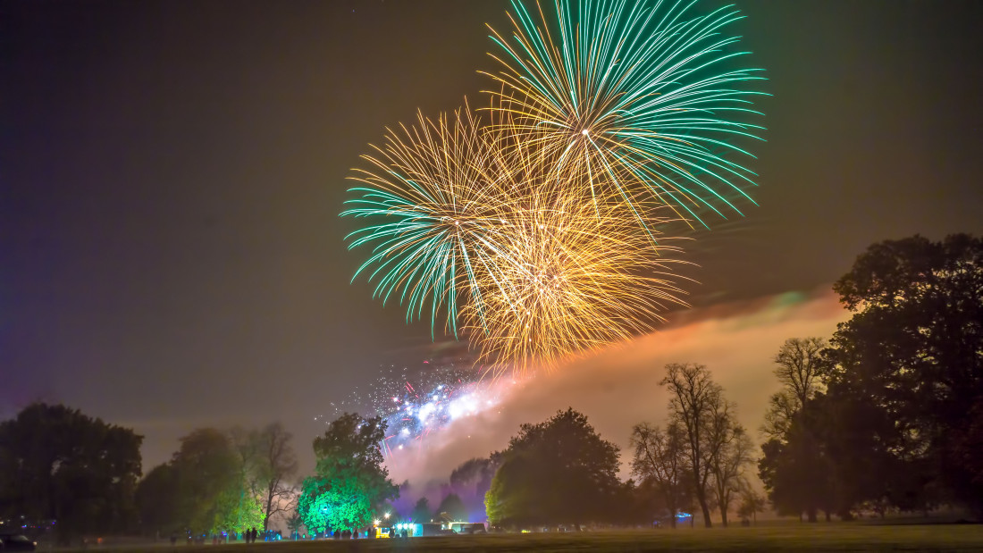 Green & Gold fireworks bursting over Christchurch Park in Ipswich as part of a professional fireworks display